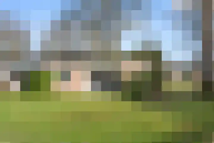 Ericapark 33 Bennekom thumbnail 15