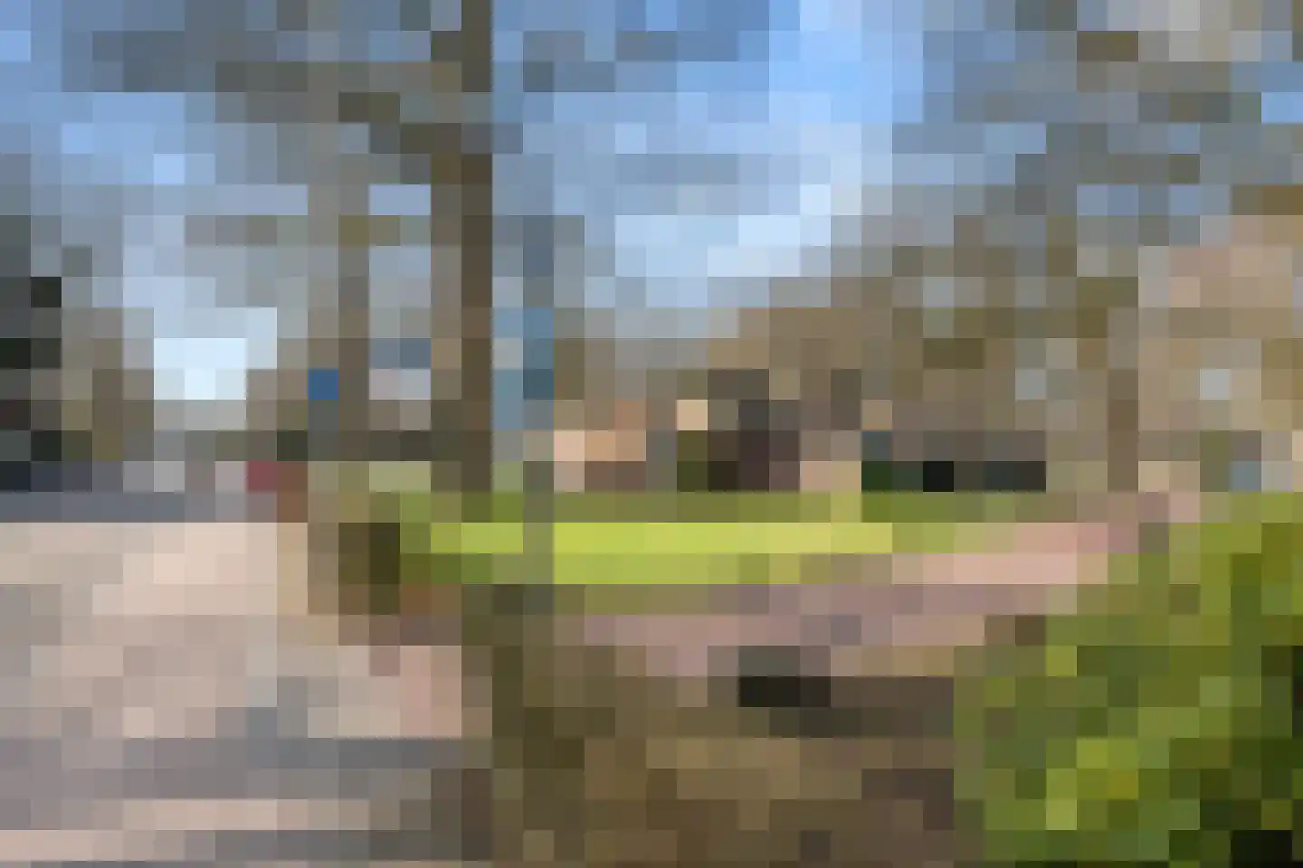 Ericapark 33 Bennekom thumbnail 15