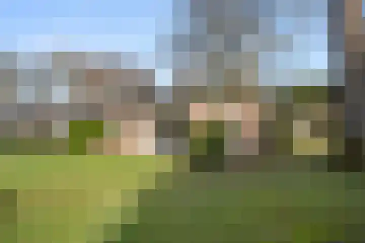 Ericapark 33 Bennekom thumbnail 16
