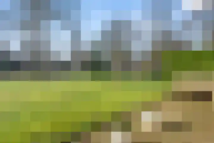 Ericapark 33 Bennekom thumbnail 18