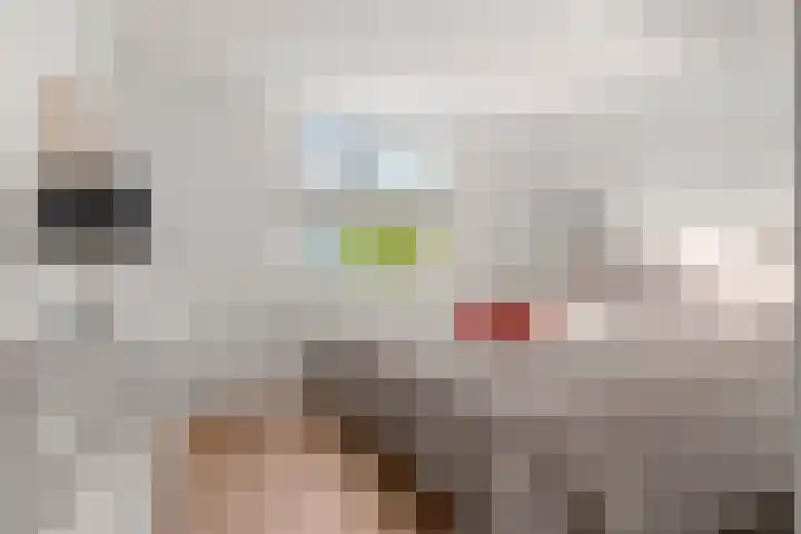 Ericapark 33 Bennekom thumbnail 31