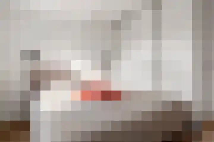 Ericapark 33 Bennekom thumbnail 33