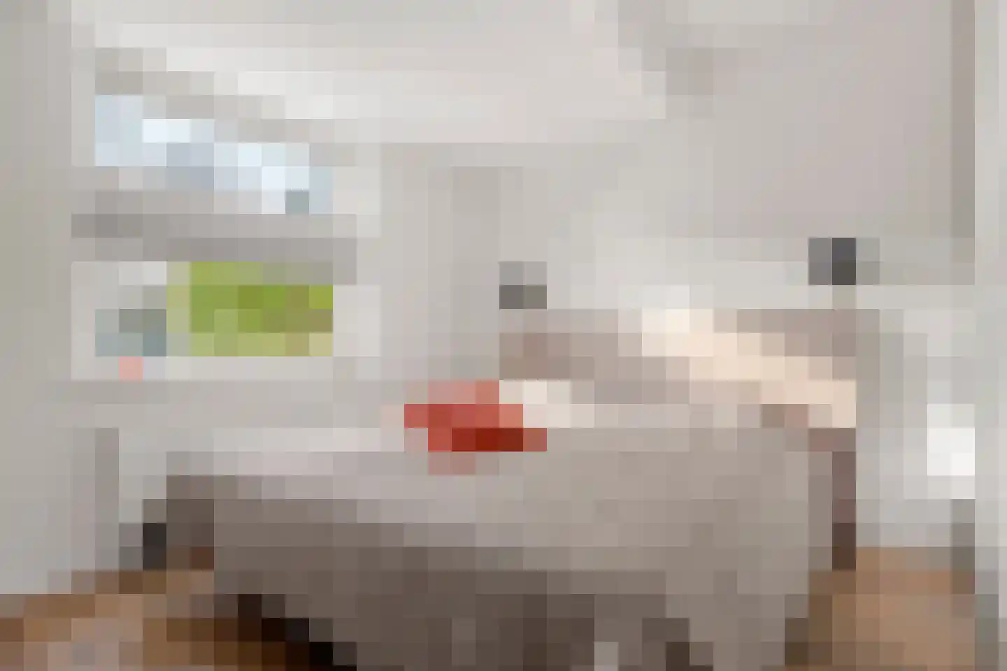 Ericapark 33 Bennekom thumbnail 33