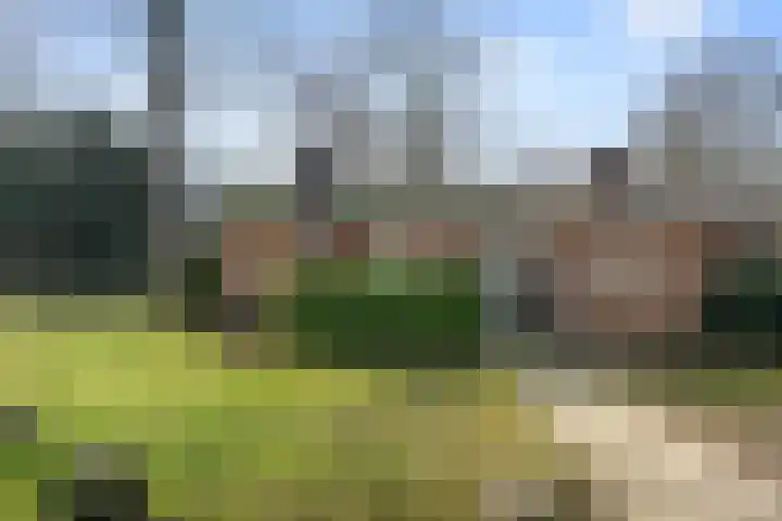 Ericapark 33 Bennekom thumbnail 5