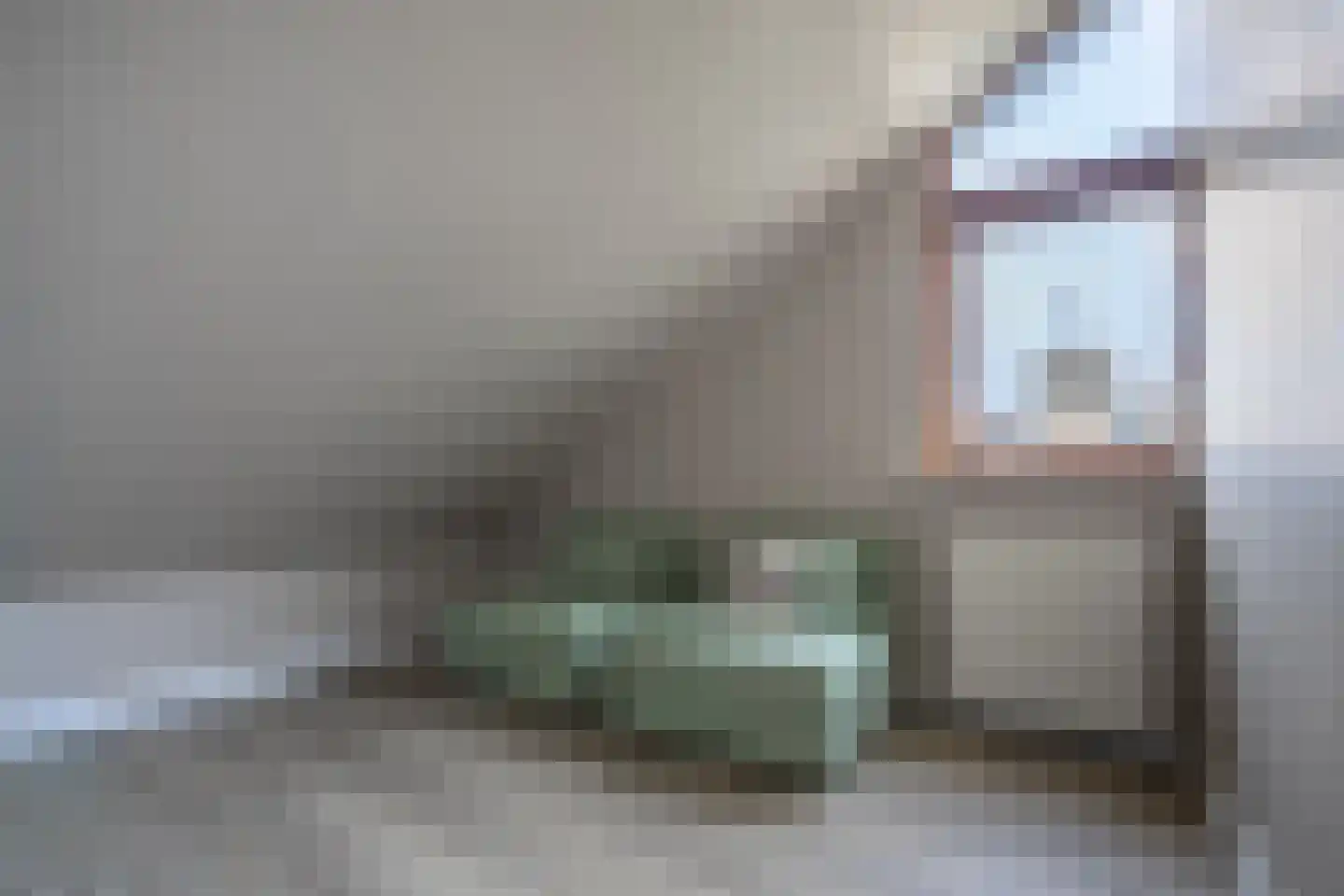 Ericapark 37 Alphen aan den Rijn thumbnail 27