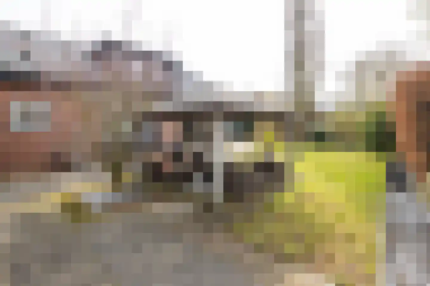 Ericapark 37 Alphen aan den Rijn thumbnail 29