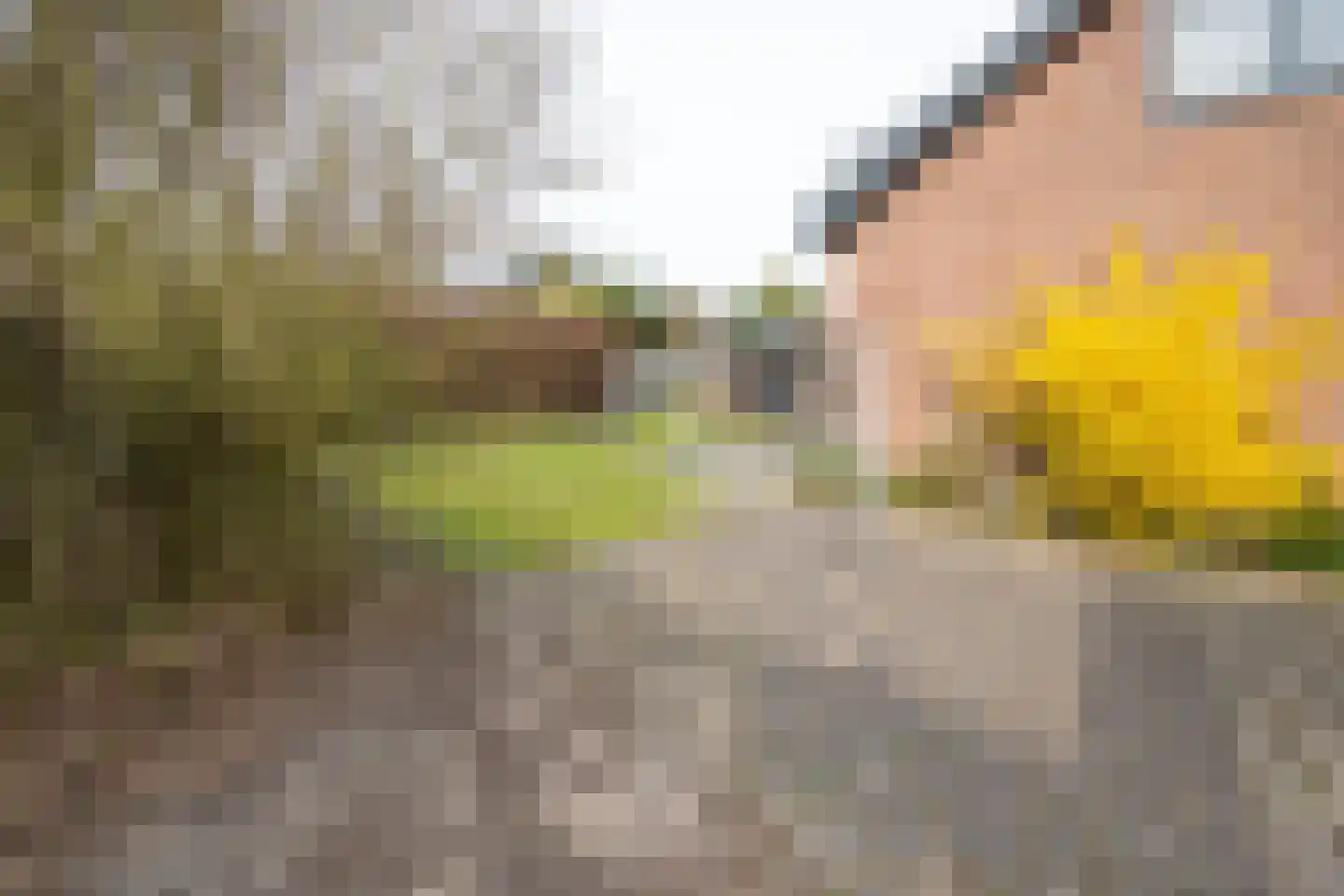Ericapark 37 Alphen aan den Rijn thumbnail 32