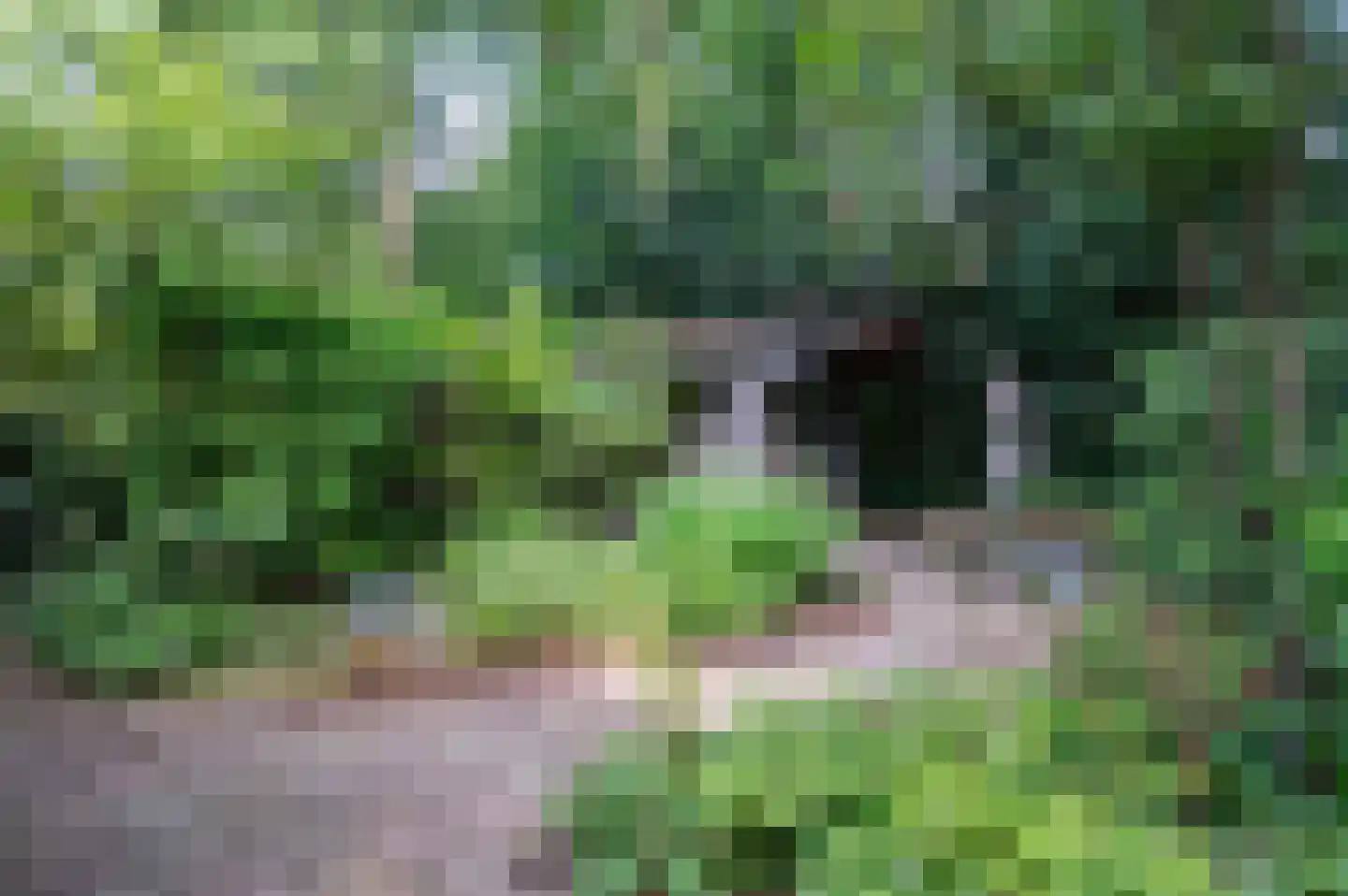 Ericapark 45 Bennekom thumbnail 4