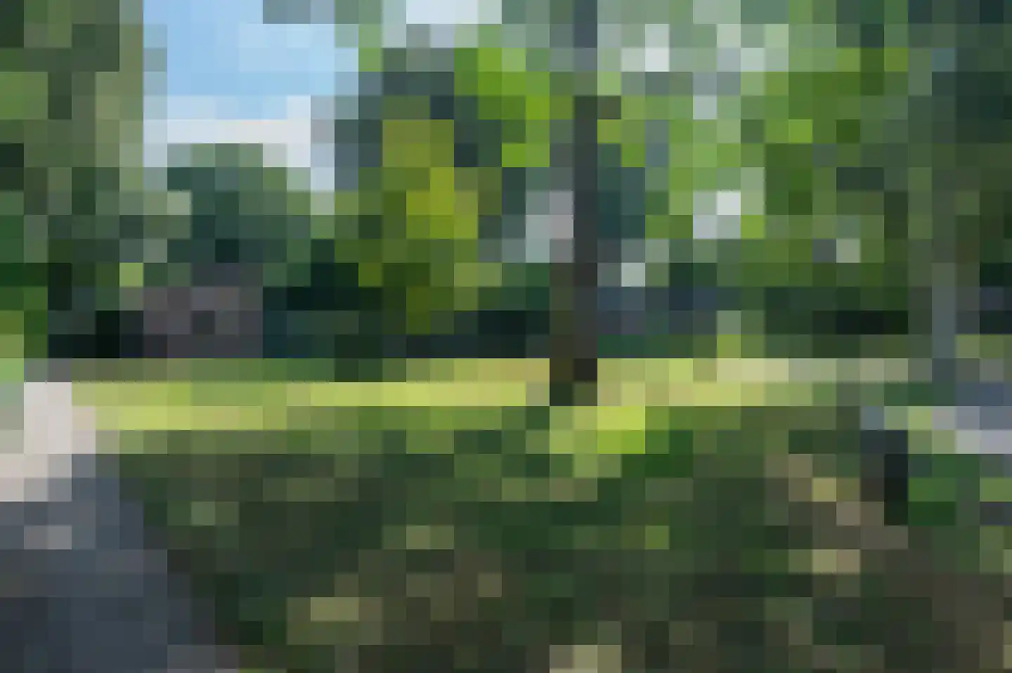 Ericapark 45 Bennekom thumbnail 8