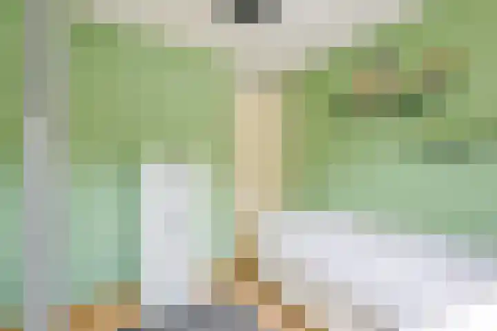 Ericapark 47 Bennekom thumbnail 12