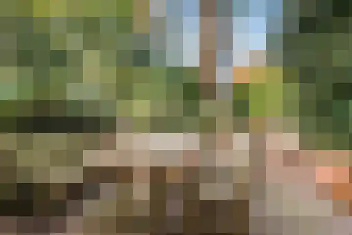 Ericapark 47 Bennekom thumbnail 16