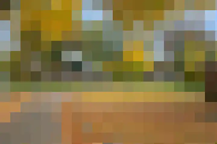 Ericapark 47 Bennekom thumbnail 4