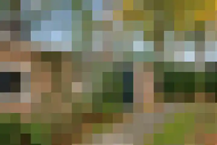 Ericapark 47 Bennekom thumbnail 6