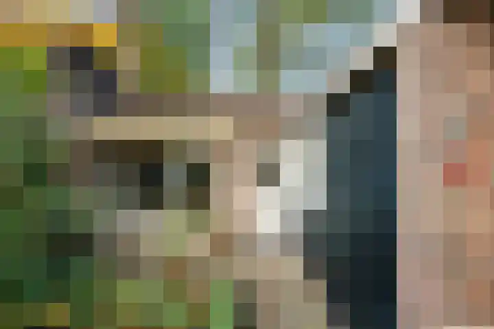 Ericapark 47 Bennekom thumbnail 7