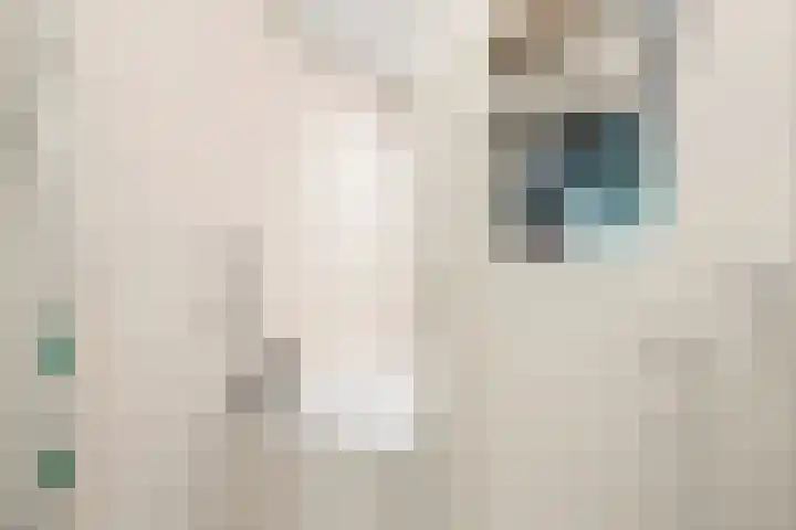 Ericapark 8 Bennekom thumbnail 18