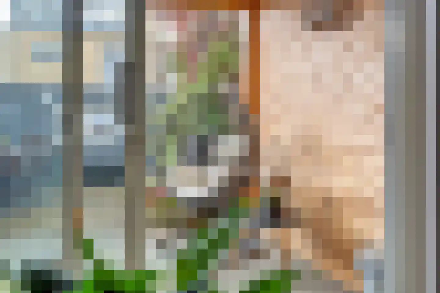 Ericapark 8 Bennekom thumbnail 24