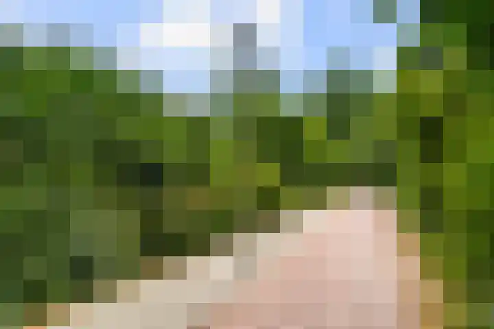 Ericapark 8 Bennekom thumbnail 29