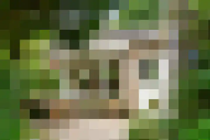 Ericapark 8 Bennekom thumbnail 35