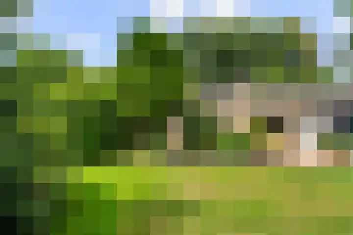 Ericapark 8 Bennekom thumbnail 4