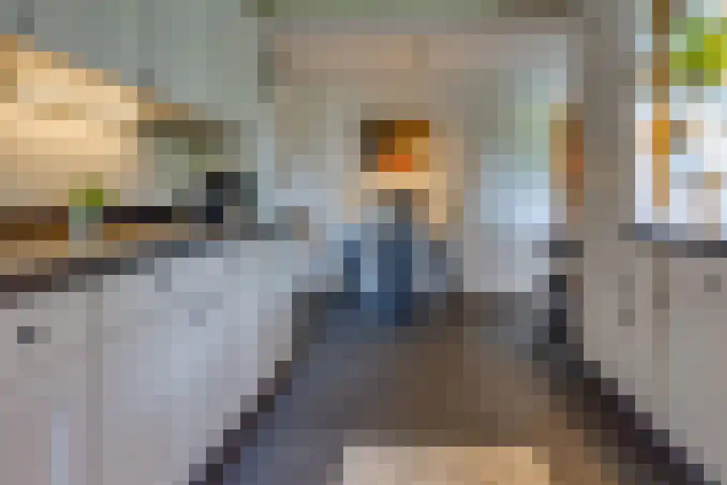 Ericapark 9 Gasselte thumbnail 10