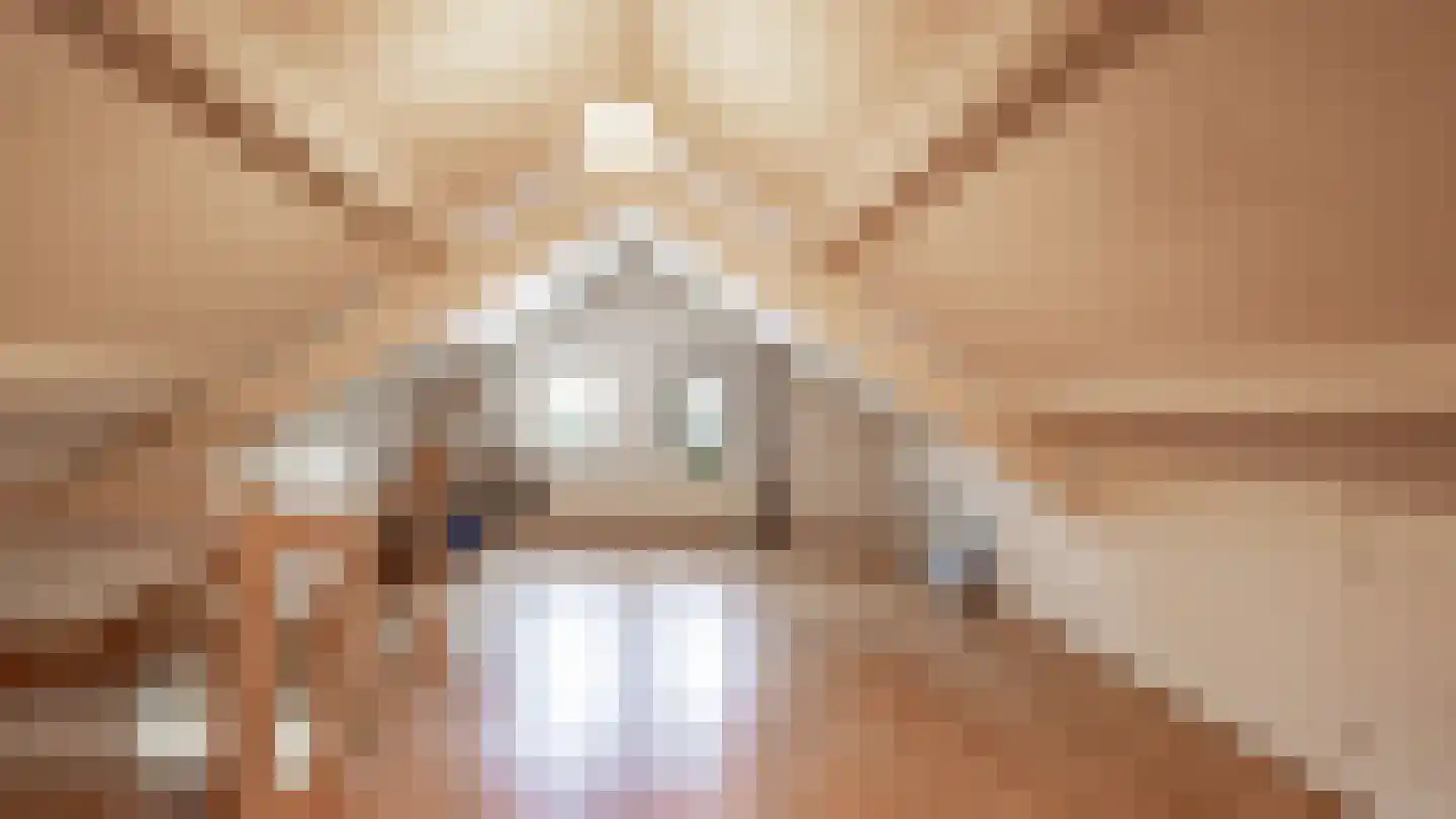Ericapark 9 Gasselte thumbnail 13