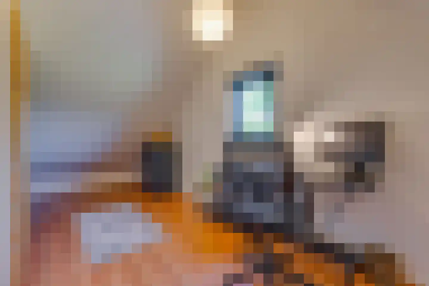 Ericapark 9 Gasselte thumbnail 21