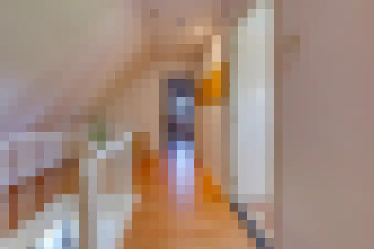 Ericapark 9 Gasselte thumbnail 23