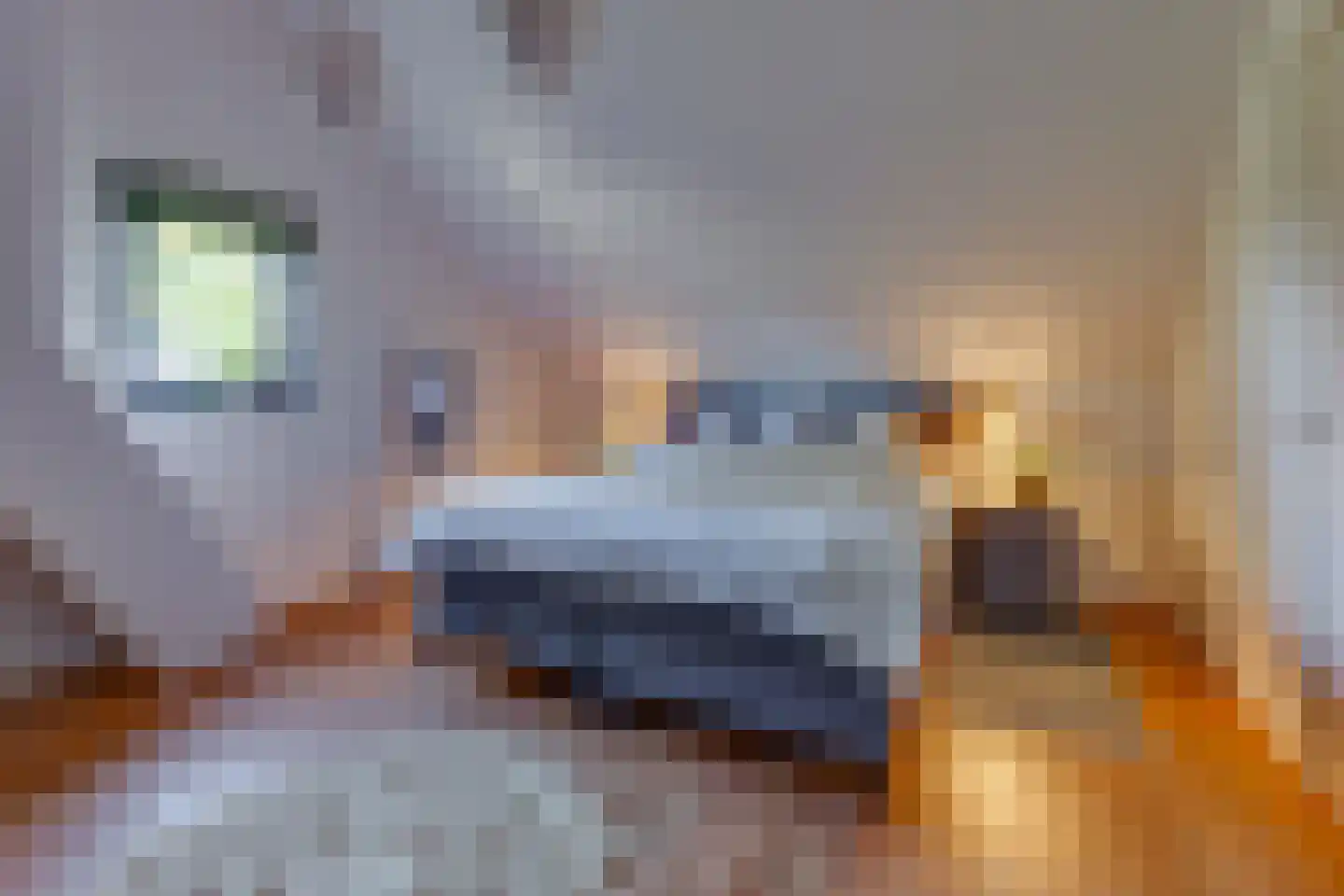 Ericapark 9 Gasselte thumbnail 24
