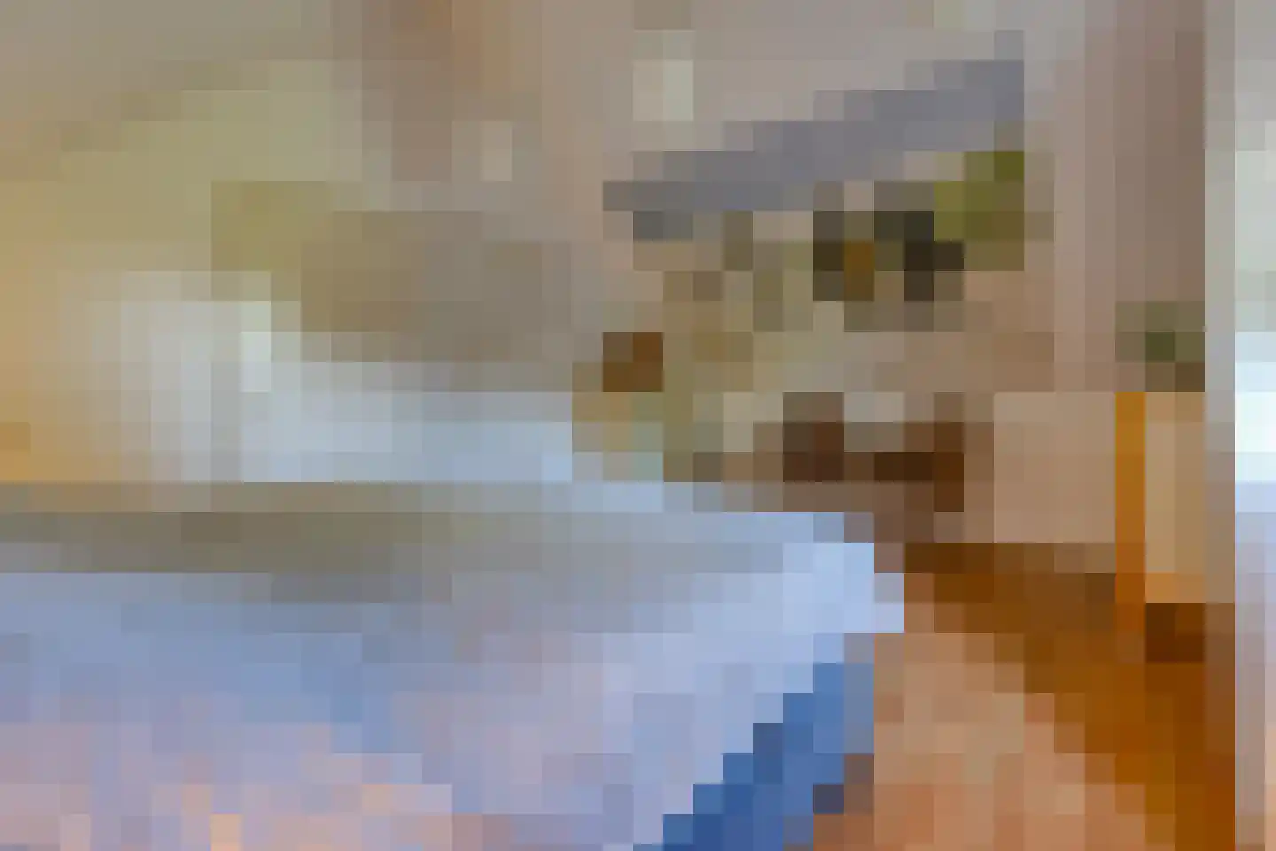 Ericapark 9 Gasselte thumbnail 25