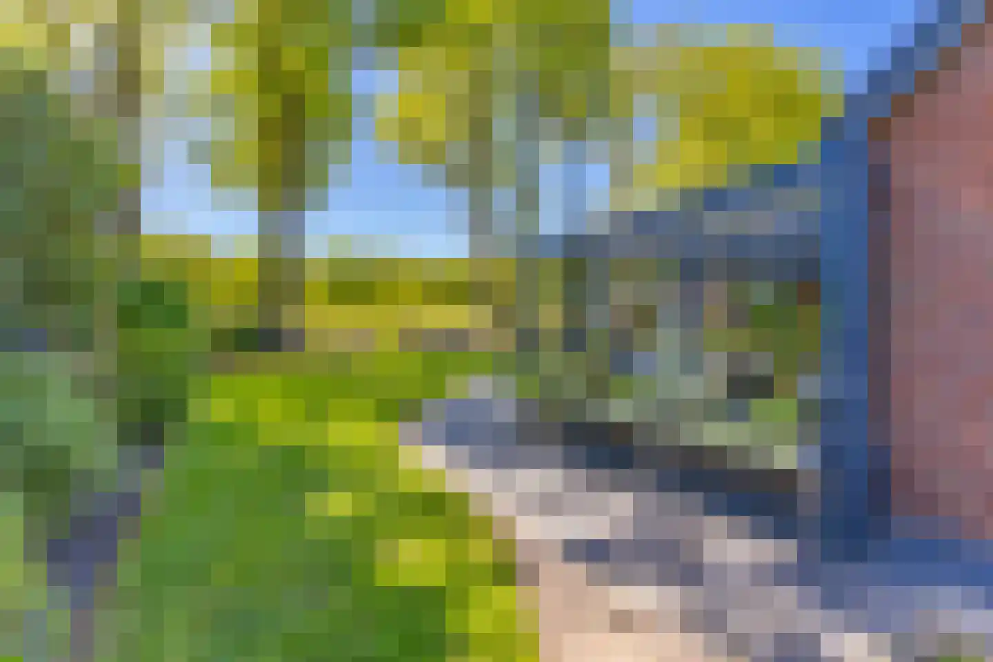 Ericapark 9 Gasselte thumbnail 31