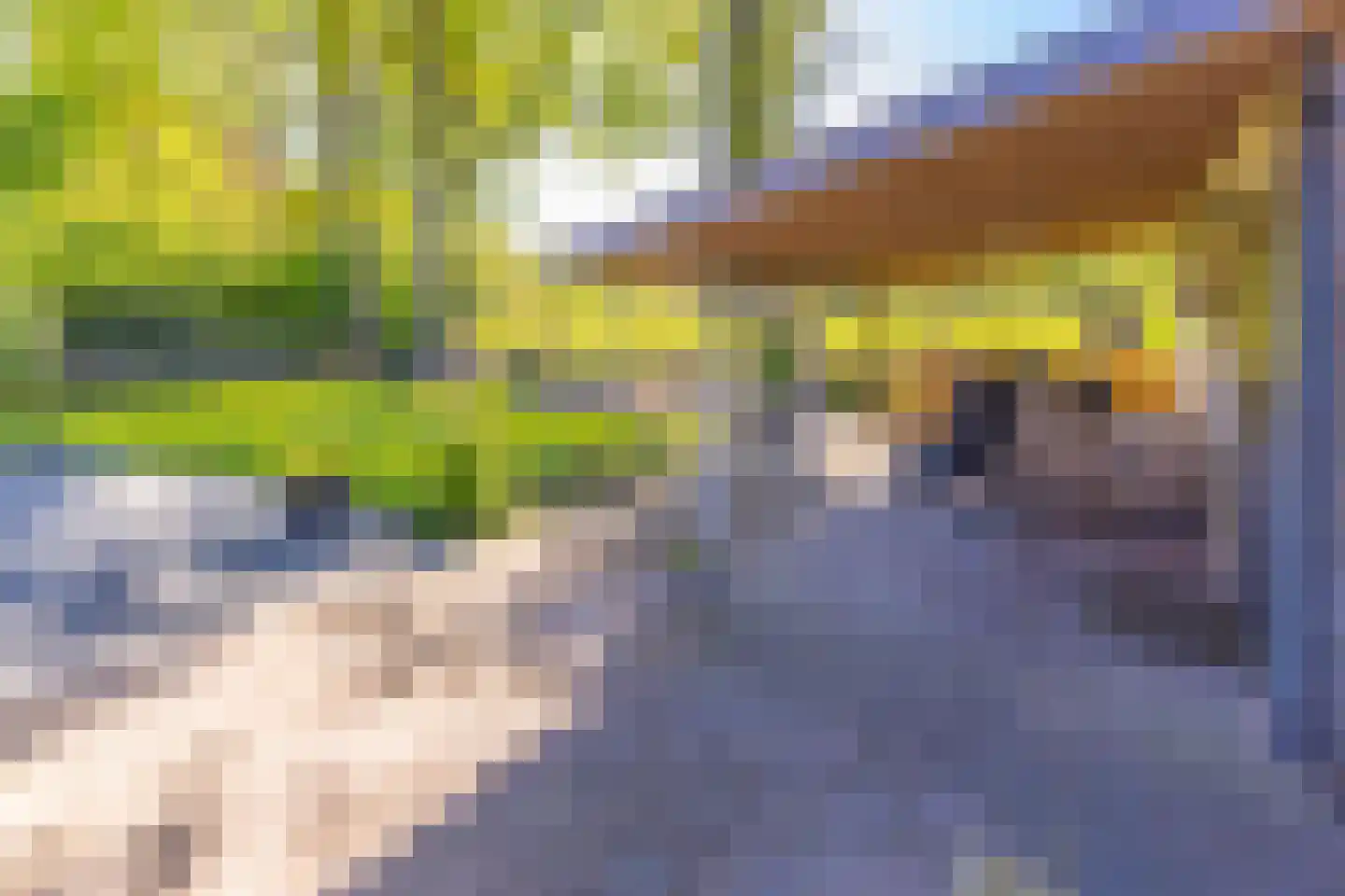 Ericapark 9 Gasselte thumbnail 33