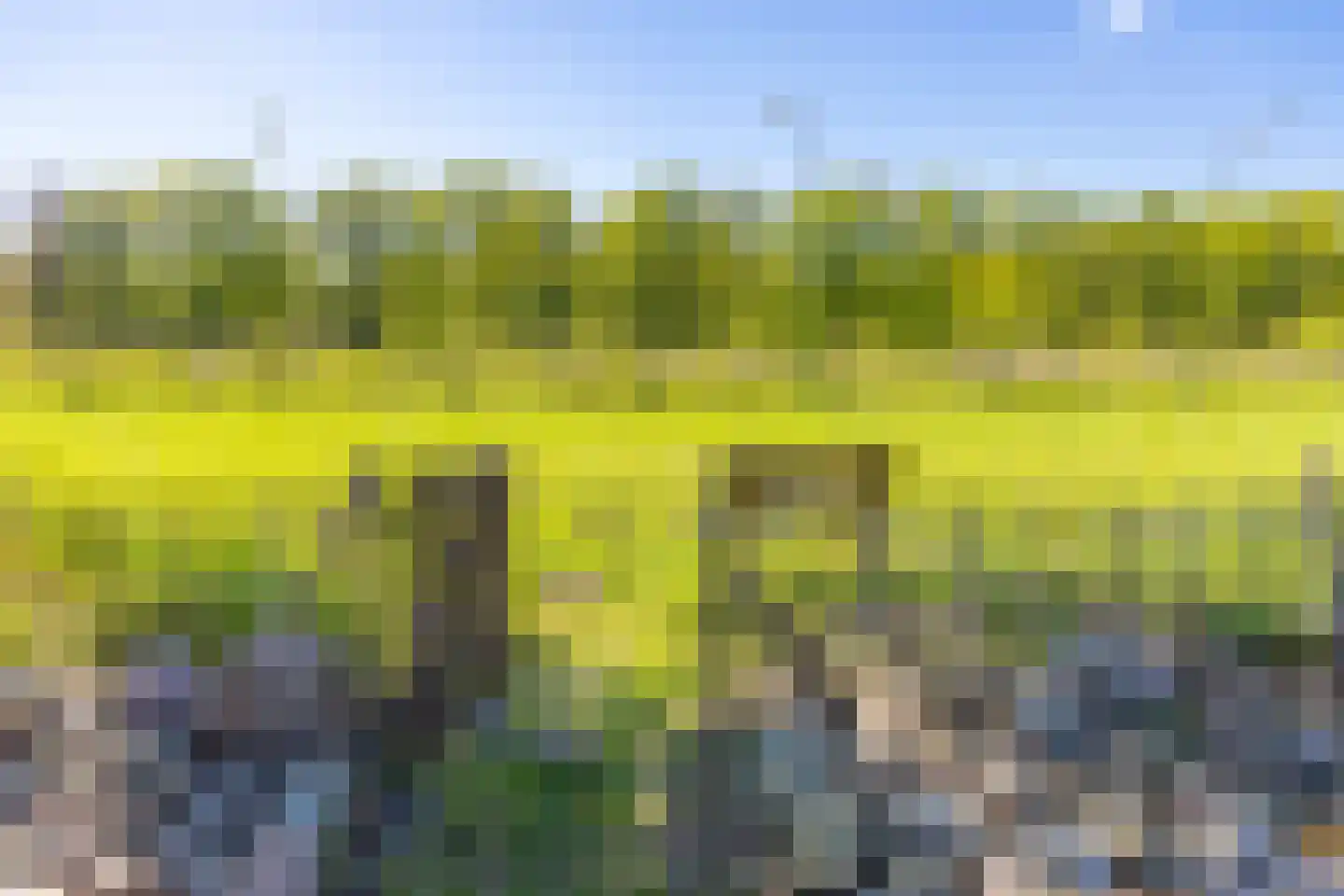 Ericapark 9 Gasselte thumbnail 34