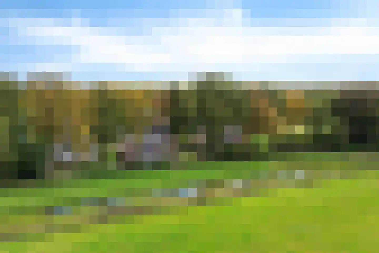 Ericapark 9 Gasselte thumbnail 37