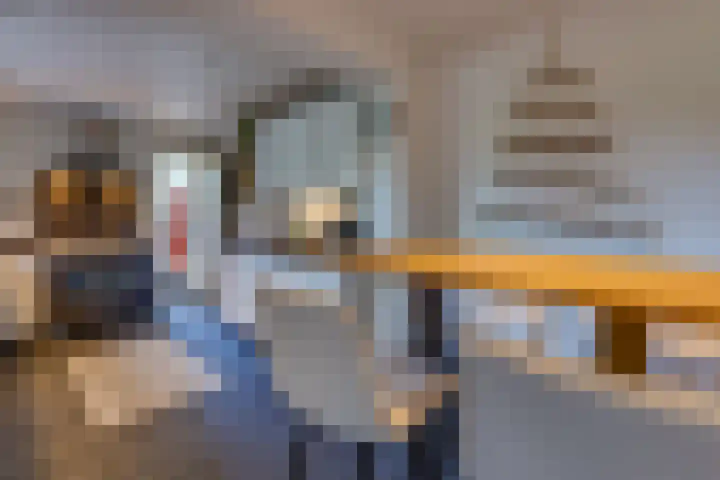 Ericapark 9 Gasselte thumbnail 8