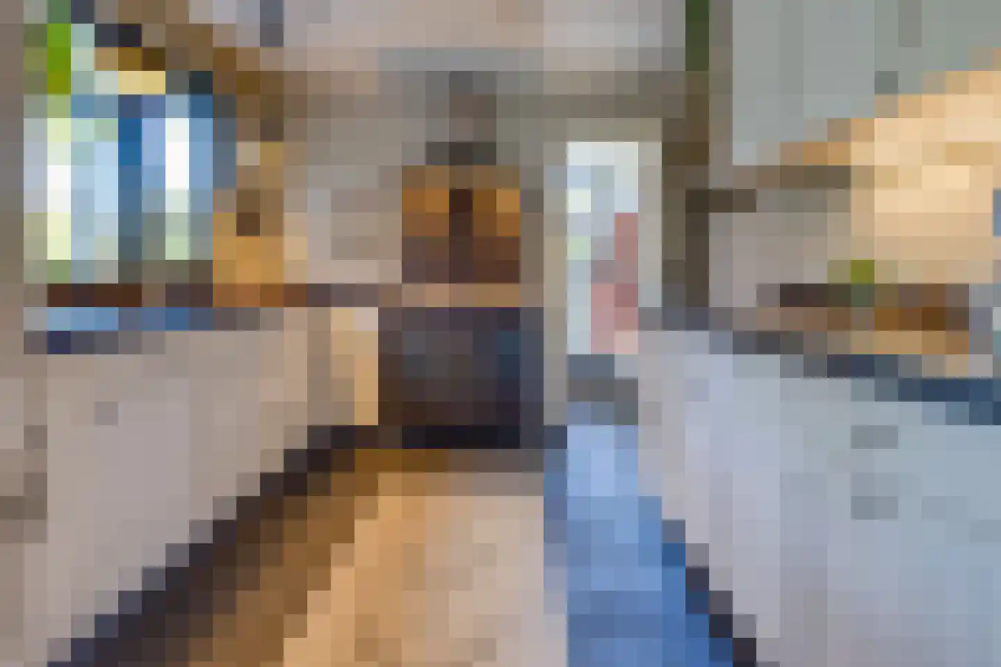 Ericapark 9 Gasselte thumbnail 9