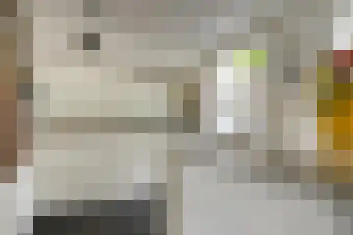 Ericaplein 106 Grubbenvorst thumbnail 11