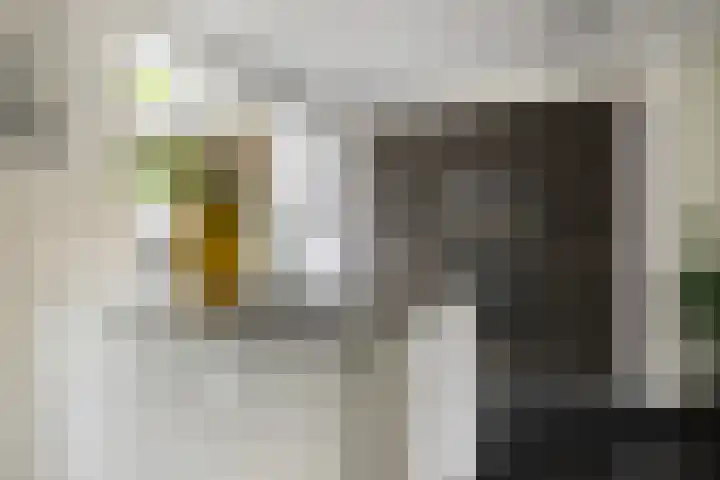 Ericaplein 106 Grubbenvorst thumbnail 13