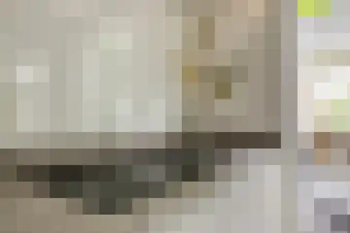 Ericaplein 106 Grubbenvorst thumbnail 14