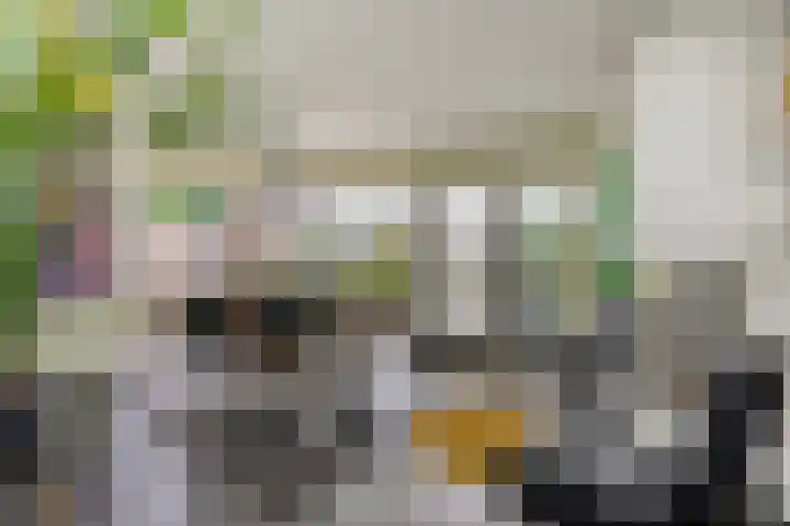 Ericaplein 106 Grubbenvorst thumbnail 16