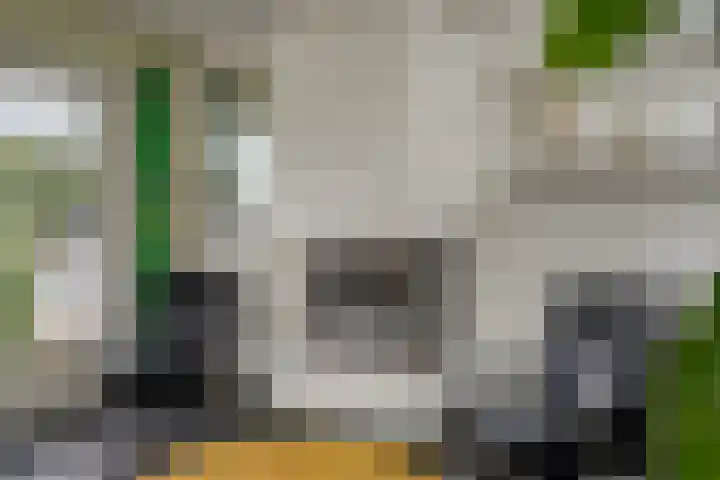 Ericaplein 106 Grubbenvorst thumbnail 17