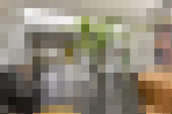 Ericaplein 106 Grubbenvorst thumbnail 19