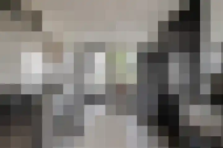Ericaplein 106 Grubbenvorst thumbnail 20