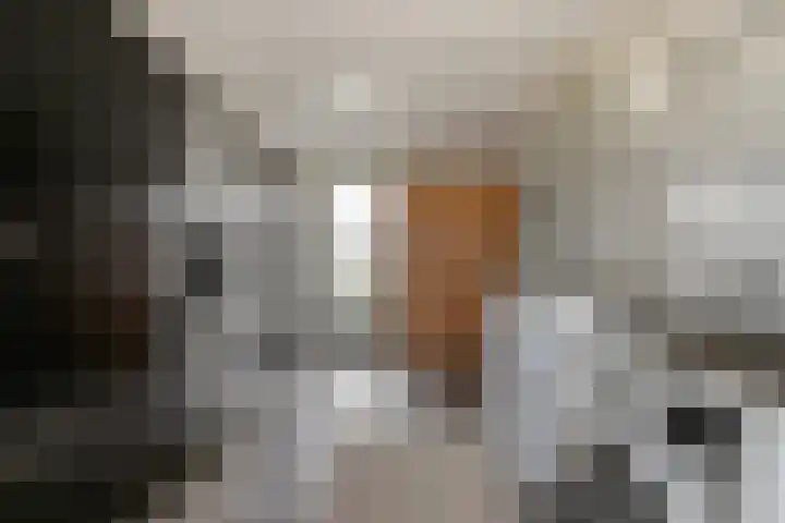 Ericaplein 106 Grubbenvorst thumbnail 21