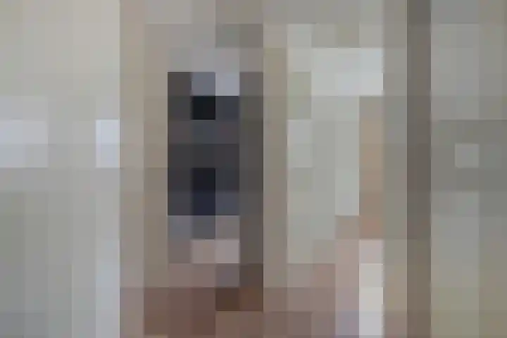 Ericaplein 106 Grubbenvorst thumbnail 22