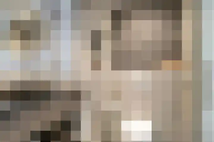 Ericaplein 106 Grubbenvorst thumbnail 29
