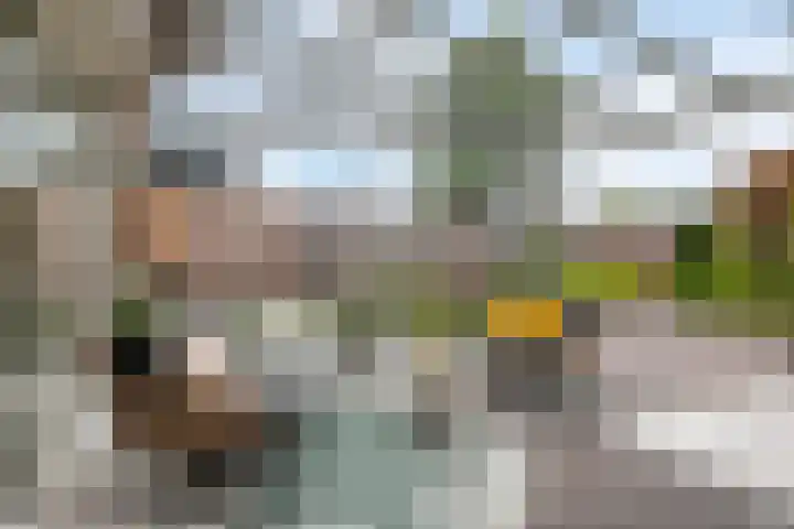 Ericaplein 106 Grubbenvorst thumbnail 39