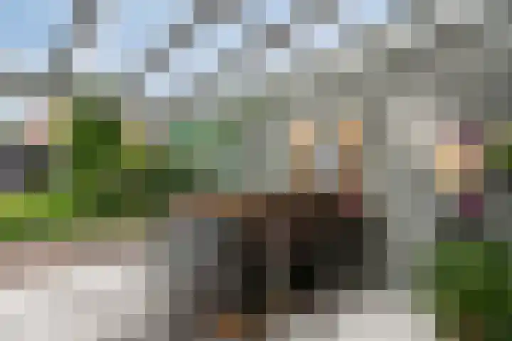 Ericaplein 106 Grubbenvorst thumbnail 40