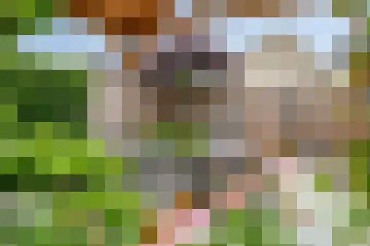 Ericaplein 106 Grubbenvorst thumbnail 44