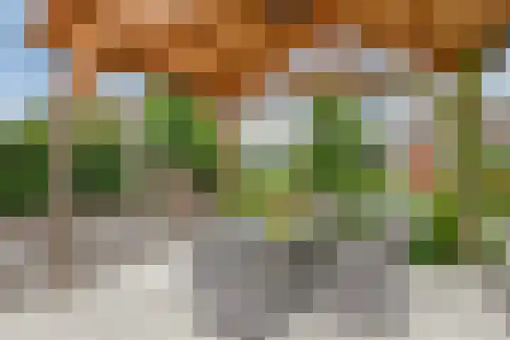 Ericaplein 106 Grubbenvorst thumbnail 46