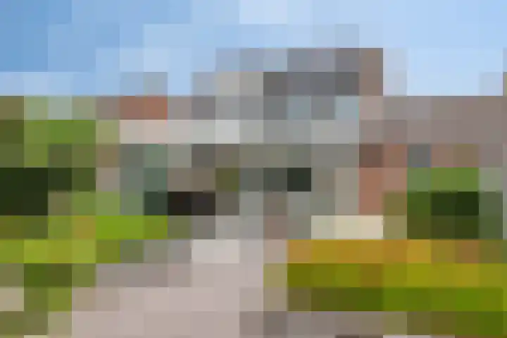 Ericaplein 106 Grubbenvorst thumbnail 47